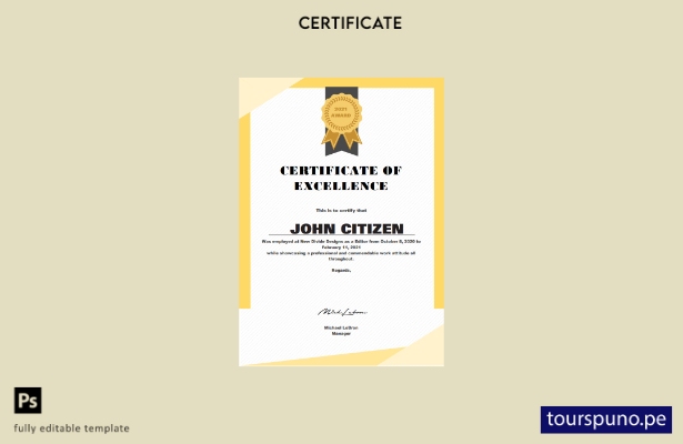 Plantilla de certificado de excelencia de EE. UU. lista para imprimir